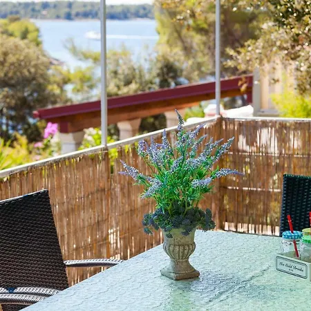 別荘 Dada ヴェラ・ルカ